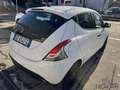 Lancia Ypsilon Ypsilon 1.0 FireFly 5 porte S&S Hybrid Ecochic Si Blanc - thumbnail 4