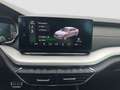 Skoda Octavia 2.0 TDI Style Grau - thumbnail 13
