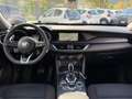Alfa Romeo Stelvio Alfa Romeo Stelvio 2.2 Turbodiesel 190 CV AT8 Q4 Business Gris - thumbnail 20
