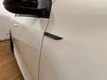 Volkswagen Golf 2.0 R 4-Motion,BULL X,OPEN DAK, AUTOMAAT Blanco - thumbnail 13