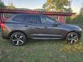 Volvo XC60 XC60 T8 Twin Engine 303 ch   87 ch Geartronic 8 R-Design Gris - thumbnail 3