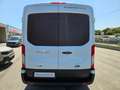 Ford Transit Bunkervan 2.0Tdci 130cv Bianco - thumbnail 6