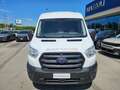 Ford Transit Bunkervan 2.0Tdci 130cv Bianco - thumbnail 2