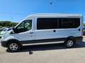 Ford Transit Bunkervan 2.0Tdci 130cv Bianco - thumbnail 4