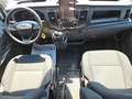 Ford Transit Bunkervan 2.0Tdci 130cv Bianco - thumbnail 11