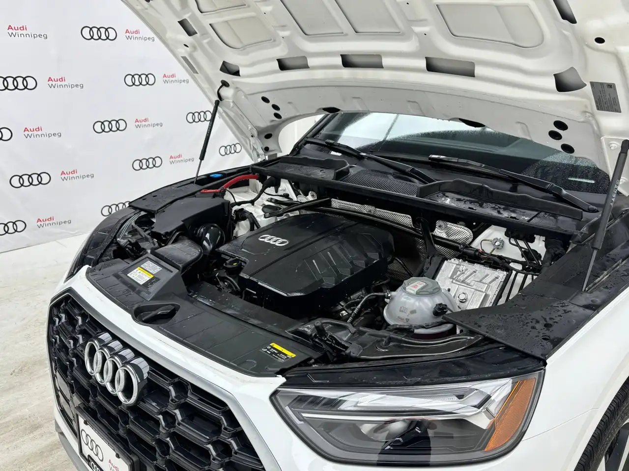 Audi Q5 photo Audi Q5