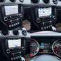 Ford Mustang Performance Paket *Austauschmotor* Rot - thumbnail 14