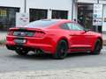 Ford Mustang Performance Paket *Austauschmotor* Rot - thumbnail 8