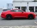 Ford Mustang Performance Paket *Austauschmotor* Rot - thumbnail 4