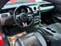 Ford Mustang Performance Paket *Austauschmotor* Rot - thumbnail 9