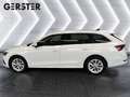 Skoda Octavia Combi 2,0 TDI Style DSG LED Lichter/ Navi/ Temp... Weiß - thumbnail 4