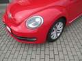 Volkswagen Beetle Lim. Design"Sitzheizung" Rot - thumbnail 3