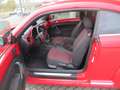 Volkswagen Beetle Lim. Design"Sitzheizung" Rot - thumbnail 5
