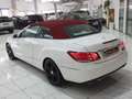 Mercedes-Benz E 220 CDI Cabrio Aut Executive NAVI-PELLE ROSSA-PARK-LED Blanc - thumbnail 4