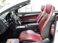 Mercedes-Benz E 220 CDI Cabrio Aut Executive NAVI-PELLE ROSSA-PARK-LED Blanc - thumbnail 10