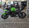 Kawasaki Z 650 PERFORMANCE Verde - thumbnail 2