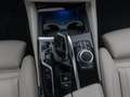 BMW 530 xD Luxury Line KameraHUD DAB HiFi Komfort Noir - thumbnail 39