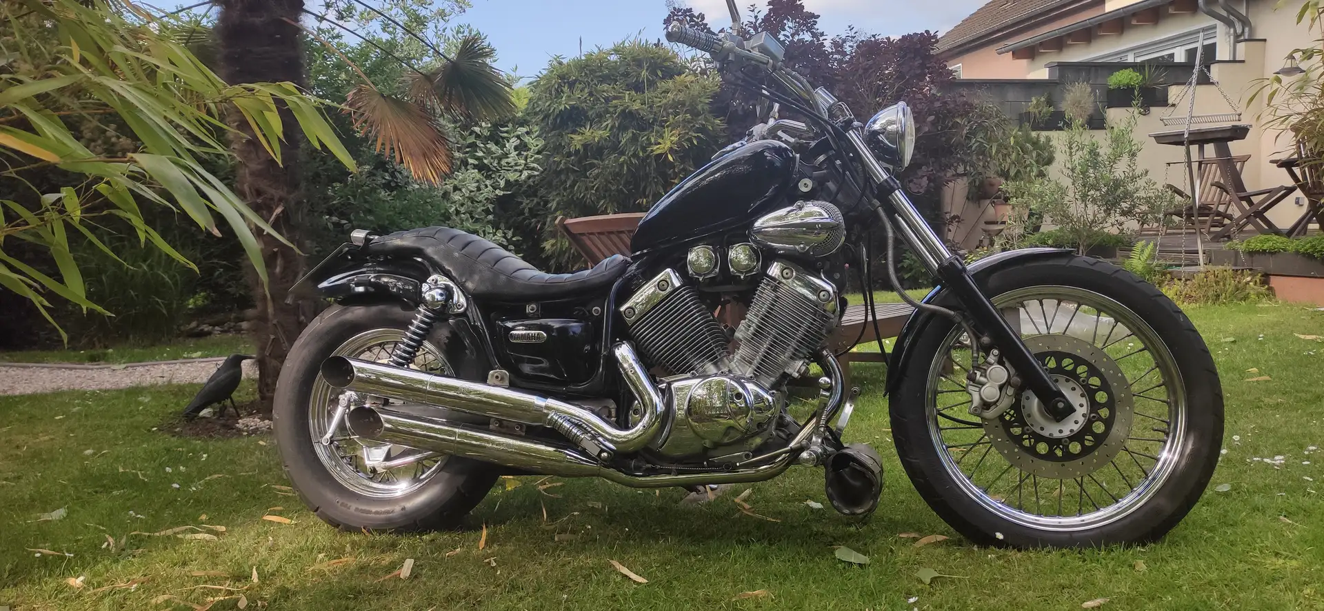 Yamaha XV 535 Virago Nero - 1