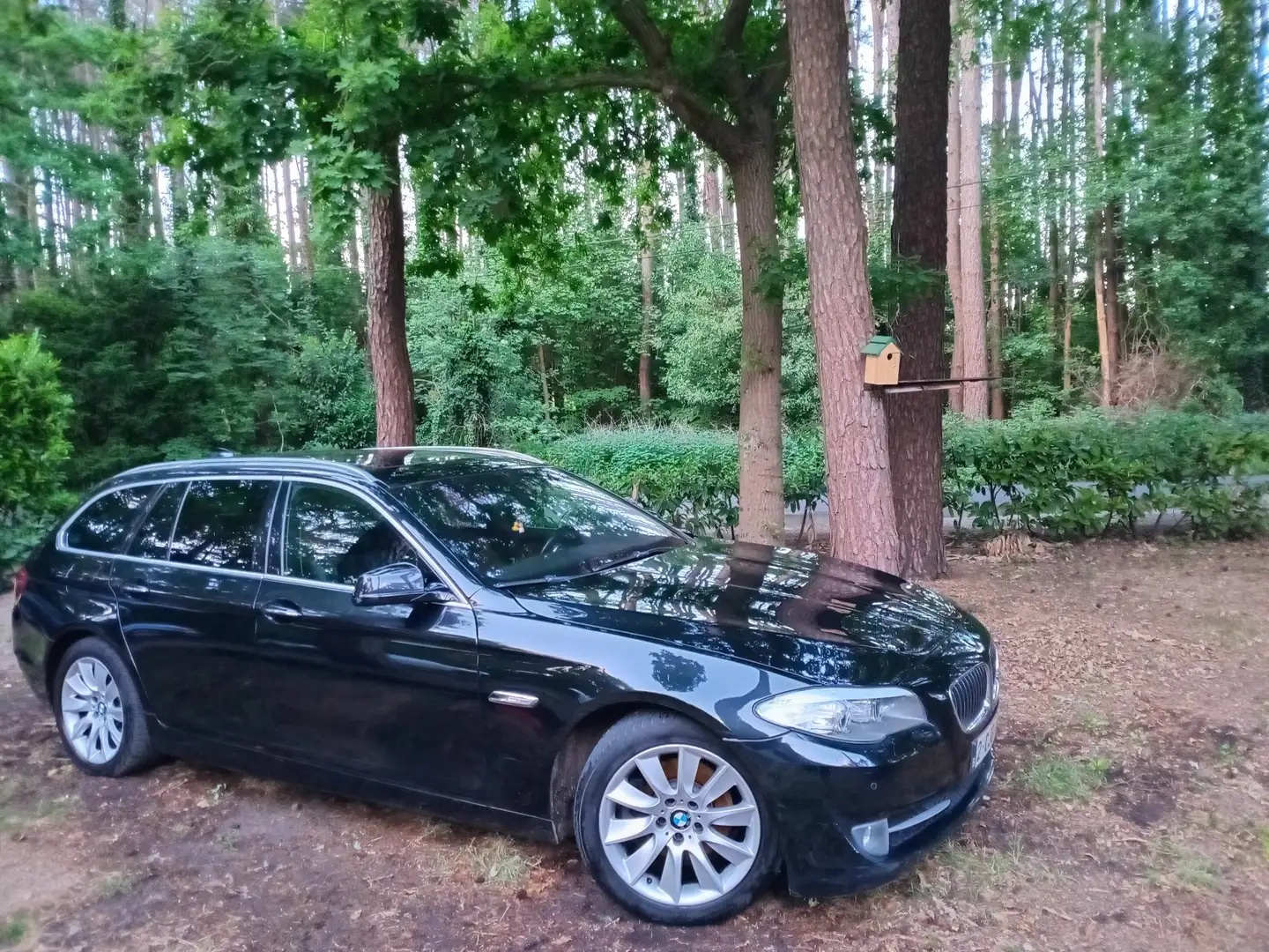 BMW 520 520d Sport-Aut. - 1