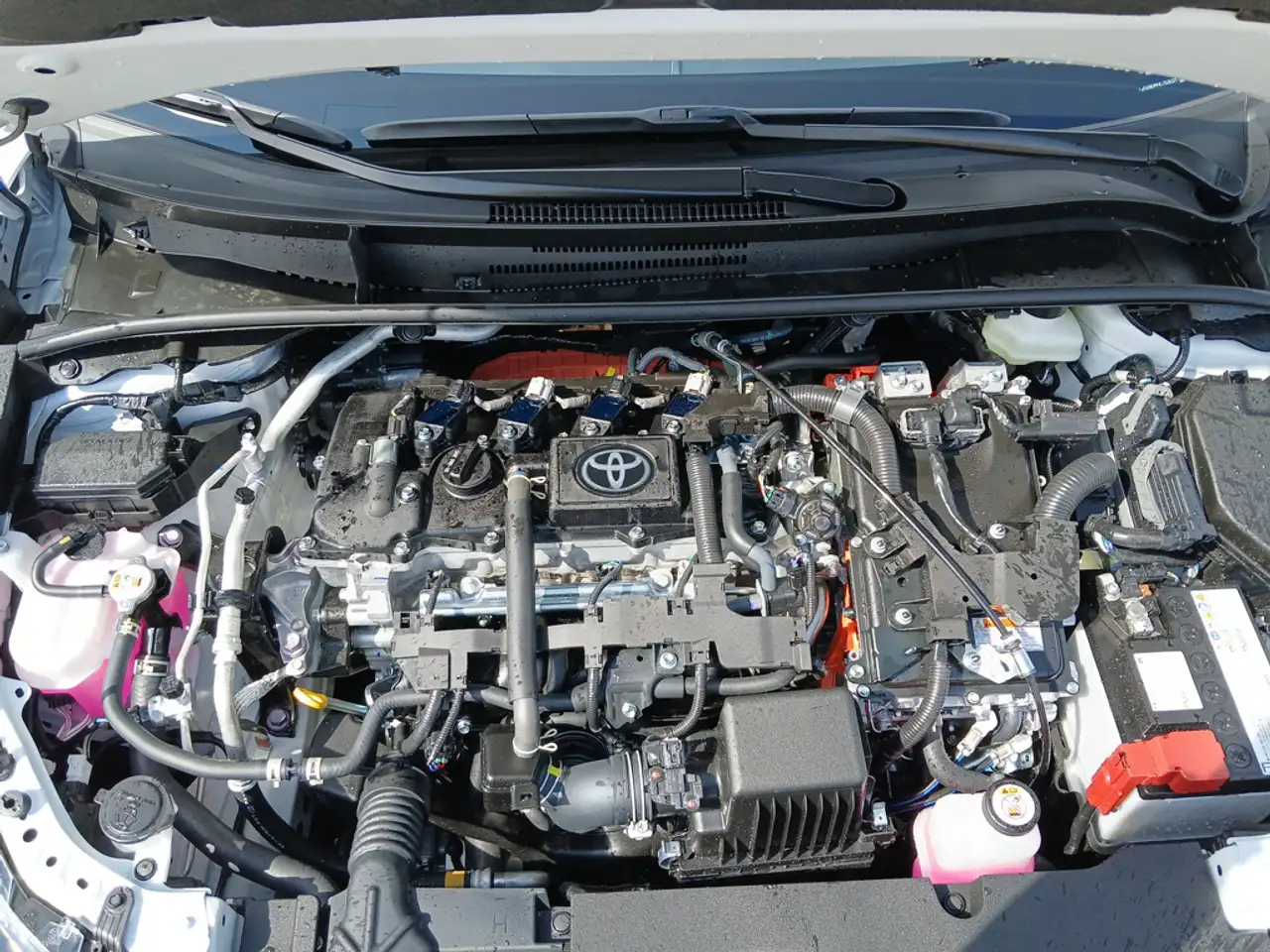 Toyota Corolla снимка Toyota Corolla