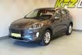 Ford Kuga 2.0 EcoBl. Aut."Titanium" AHK*W-PAKET*R-KAM" Grau - thumbnail 11
