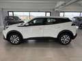 Peugeot 2008 1.2 PureTech 100 CV Active Blanc - thumbnail 4