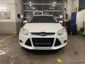 Ford Focus Focus Traveller Ambiente 1,6 Ambiente Weiß - thumbnail 3