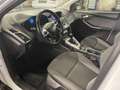 Ford Focus Focus Traveller Ambiente 1,6 Ambiente Weiß - thumbnail 10