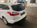 Ford Focus Focus Traveller Ambiente 1,6 Ambiente Weiß - thumbnail 6