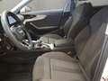 Audi A4 S line 30 TDI 100(136) kW(PS) S tro Blanc - thumbnail 10