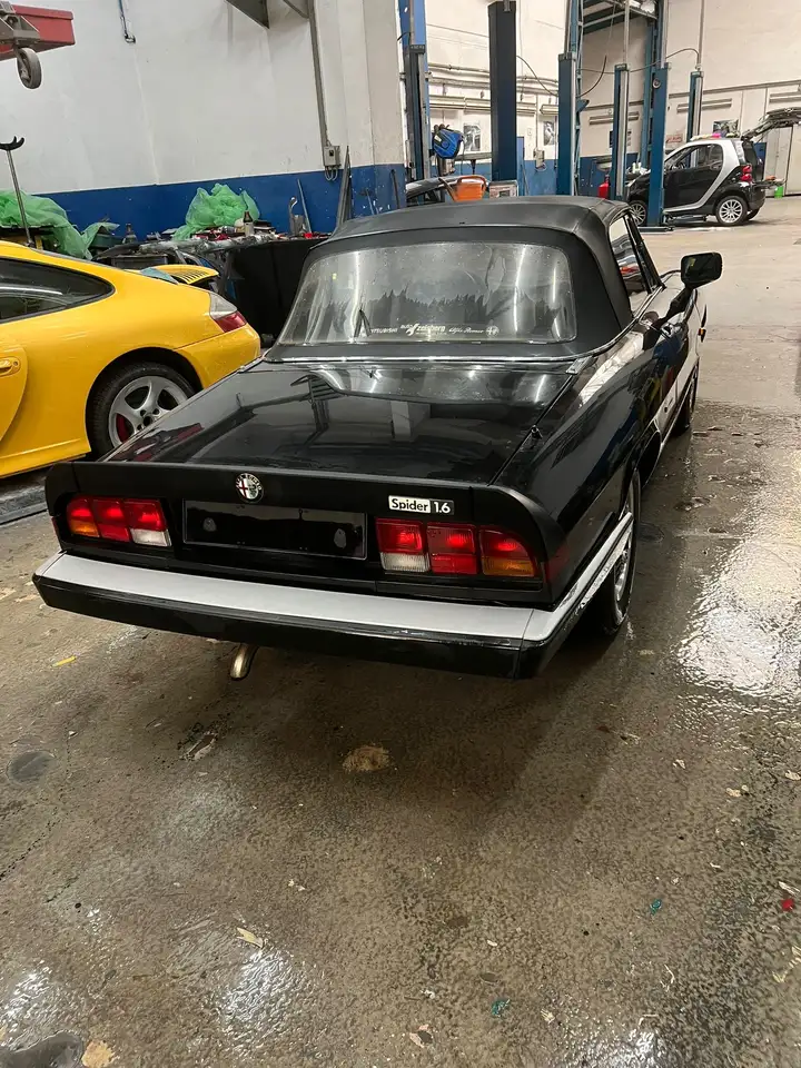Alfa Romeo Spider Typ 115, foto 2
