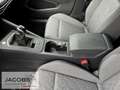 Volkswagen Golf VIII 1.5 TSI Move ACC,Kamera,LED,Navi,Ac Grau - thumbnail 16