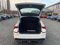 Skoda Kamiq 1.0 TSI 81kw | Active | Airco | Cruise | Led Wit - thumbnail 9