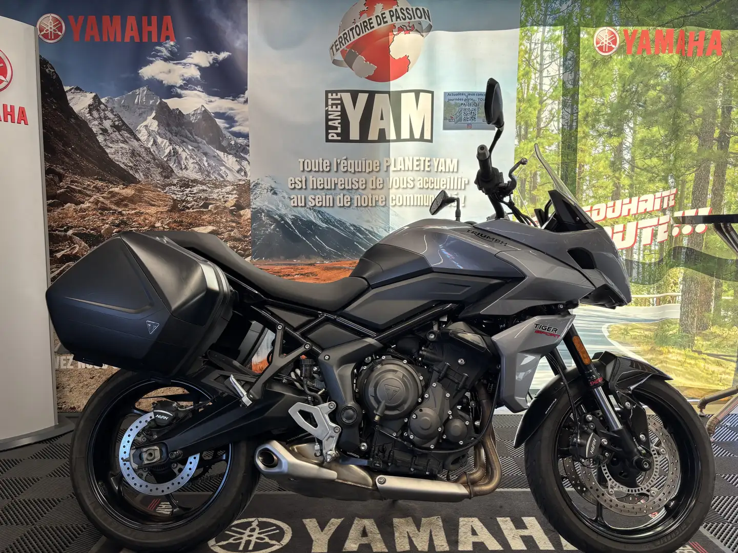 Triumph Tiger Sport Gris - 1