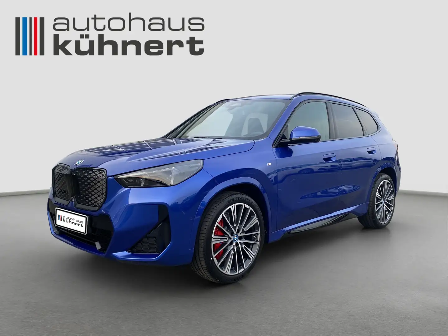 BMW iX1 xDrive30 SpurAss PanoSD ///M-Sport ACC 360° Blau - 1
