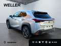 Lexus UX 300h F SPORT Design *LED*ACC*18''*Kamera*SHZ* Argintiu - thumbnail 14