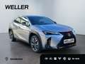 Lexus UX 300h F SPORT Design *LED*ACC*18''*Kamera*SHZ* Plateado - thumbnail 21