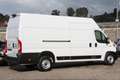 Fiat Ducato 35 2.2 Mjt 180CV PLM-TA XLH3 Furgone Maxi NUOVO Bianco - thumbnail 9