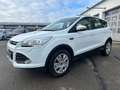 Ford Kuga KUGA 1.5 Sync Edition / WR Blanc - thumbnail 1