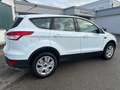 Ford Kuga KUGA 1.5 Sync Edition / WR Blanc - thumbnail 4