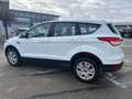 Ford Kuga KUGA 1.5 Sync Edition / WR Blanc - thumbnail 2