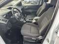 Ford Kuga KUGA 1.5 Sync Edition / WR Blanc - thumbnail 12