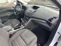 Ford Kuga KUGA 1.5 Sync Edition / WR Blanc - thumbnail 8
