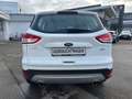 Ford Kuga KUGA 1.5 Sync Edition / WR Blanc - thumbnail 3