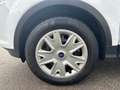 Ford Kuga KUGA 1.5 Sync Edition / WR Blanc - thumbnail 16