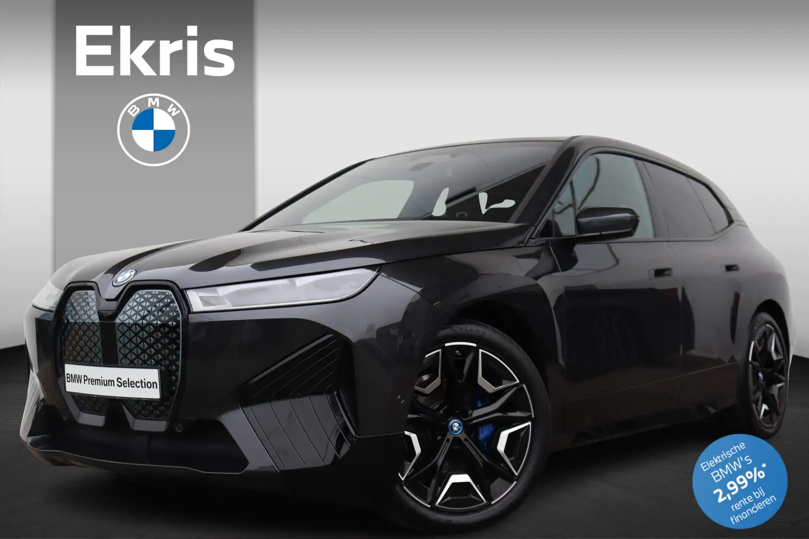 BMW iX xDrive40 Business Edition Plus 77 kWh Sport-Pakket Grijs - 1