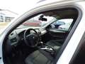 BMW X1 X 1 sDrive PTC Sitzheizung 85 kW (116 PS), Scha... Wit - thumbnail 22