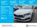 Skoda Octavia Combi 2.0 TDI DSG Clever Navi LED FrontA Weiß - thumbnail 1