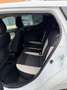 Nissan Micra 1.5 dci - NEOP. - NAV. - 12 MESI DI GARANZIA - Bianco - thumbnail 10