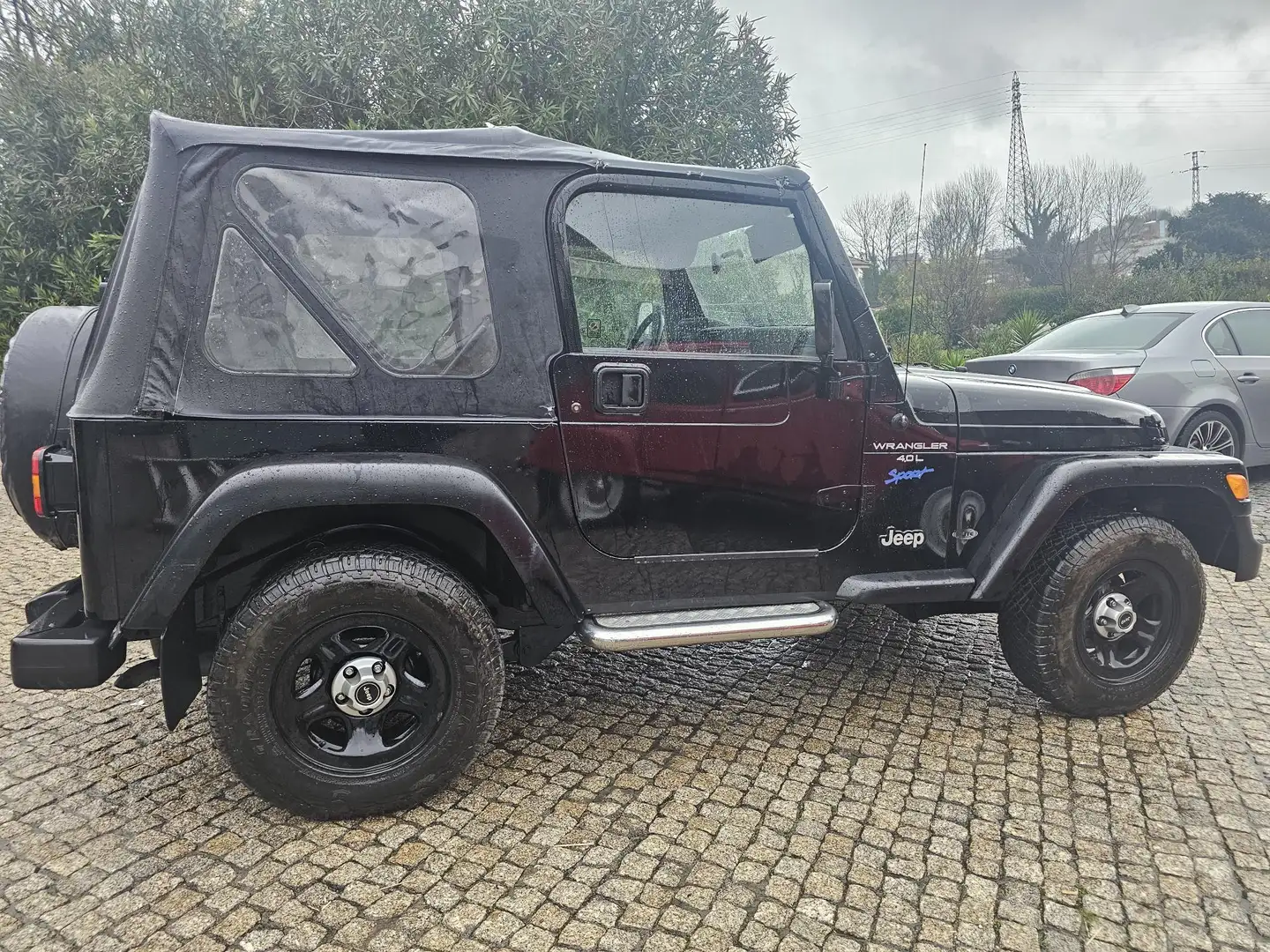 Jeep Wrangler WRANGLER 4.0 SPORT - 2